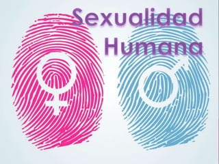 Sexualidad humana 