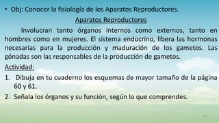 • Obj: Conocer la fisiología de los Aparatos Reproductores.
Aparatos Reproductores
Involucran tanto órganos internos como ...