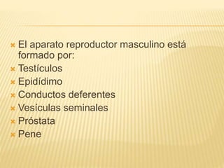  El aparato reproductor masculino está 
formado por: 
 Testículos 
 Epidídimo 
 Conductos deferentes 
 Vesículas seminales 
 Próstata 
 Pene 
 