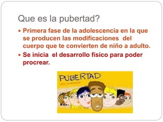 Que es la pubertad?
 Primera fase de la adolescencia en la que
se producen las modificaciones del
cuerpo que te convierten de niño a adulto.
 Se inicia el desarrollo físico para poder
procrear.
 