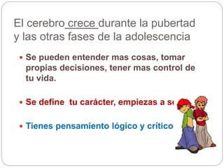 El cerebro crece durante la pubertad
y las otras fases de la adolescencia
 Se pueden entender mas cosas, tomar
propias decisiones, tener mas control de
tu vida.
 Se define tu carácter, empiezas a ser tu.
 Tienes pensamiento lógico y crítico.
 