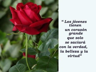 “  Los jóvenes tienen  un corazón grande que solo  se saciará  con la verdad,  la belleza y la virtud” 