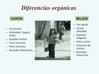 Diferencias orgánicas  Voz gruesa Vellosidad : bigote, barba Espaldas anchas Tono muscular Pelvis estrecha Genitales Masculinos Voz aguda Escasa pilosidad Espaldas delgadas Pelvis ancha Presencia de mamas Genitales femeninos VARÓN MUJER 