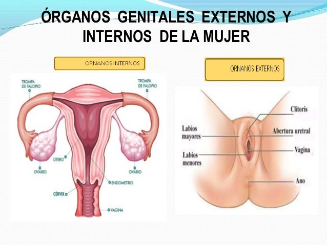 Como sanar la psoriasis bajo los ratoncitos