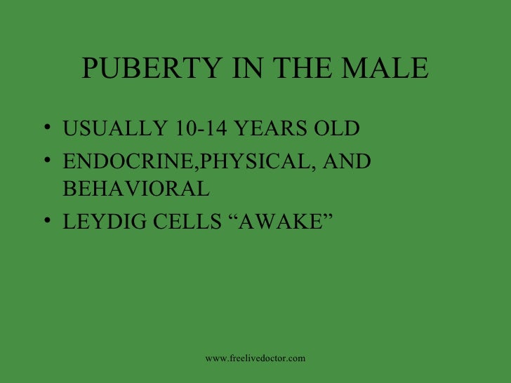 Sexual Intercourse,Conception