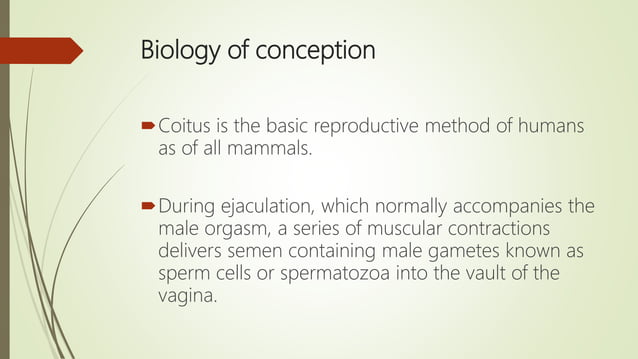 Process Of Copulation The physiology of human Sexual intercourse | PPTX | Sexual Conditions ...