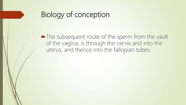 Sexual Interaction The physiology of human Sexual intercourse | PPTX | Sexual Conditions ...