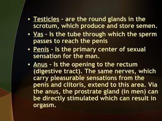 • Testicles – are the round glands in the
  scrotum, which produce and store semen.
• Vas – Is the tube through which the ...