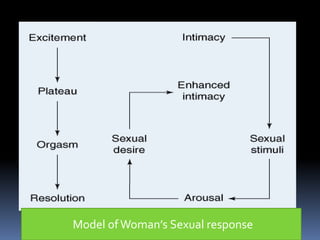 Model of Woman’s Sexual response 
 