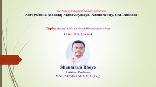 Shri Shivaji Education Society, Amravati's
Shri Pundlik Maharaj Mahavidyalaya, Nandura Rly. Dist. Buldana
Topic: Sexual Life Cycle of Plasmodium vivax
Class: B.Sc-I, Sem-I
Shantaram Bhoye
Assistant Professor
M.Sc., NET-JRF, SET, M.A.(Eng.)
 