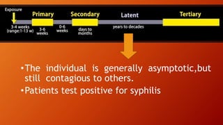 •The individual is generally asymptotic,but
still contagious to others.
•Patients test positive for syphilis
 