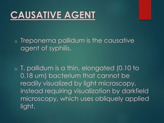 CAUSATIVE AGENT
o Treponema pallidum is the causative
agent of syphilis.
o T. pallidum is a thin, elongated (0.10 to
0.18 um) bacterium that cannot be
readily visualized by light microscopy,
instead requiring visualization by darkfield
microscopy, which uses obliquely applied
light.
 