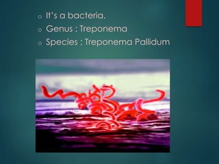 o It’s a bacteria.
o Genus : Treponema
o Species : Treponema Pallidum
 