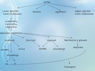 STDs
Lower genital
tract infections
Upper genital
tract infections
lesions systemic
Urethritis,
Cervicitis,
Vaginitis
Specimen collection
Urethral Cervical Vaginal Bartholin’s glands
Aspirate
Swabs Urine
Discharge
M F
Swabs Discharge
Transport
 