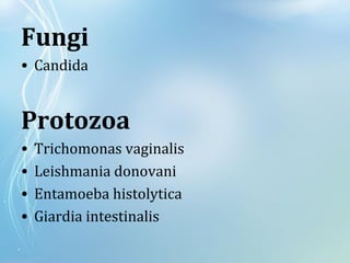 Fungi
• Candida
Protozoa
• Trichomonas vaginalis
• Leishmania donovani
• Entamoeba histolytica
• Giardia intestinalis
 