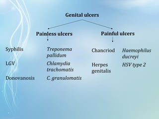 Genital ulcers
Painless ulcers Painful ulcers
Syphilis Treponema
pallidum
LGV Chlamydia
trachomatis
Donovanosis C. granulomatis
Chancriod Haemophilus
ducreyi
Herpes
genitalis
HSV type 2
 