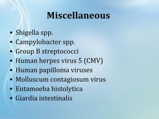 Miscellaneous
• Shigella spp.
• Campylobacter spp.
• Group B streptococci
• Human herpes virus 5 (CMV)
• Human papilloma viruses
• Molluscum contagiosum virus
• Entamoeba histolytica
• Giardia intestinalis
 