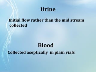 Urine
Initial flow rather than the mid stream
collected
Blood
Collected aseptically in plain vials
 