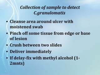 Collection of sample to detect
C.granulomatis
• Cleanse area around ulcer with
moistened swab
• Pinch off some tissue from edge or base
of lesion
• Crush between two slides
• Deliver immediately
• If delay-fix with methyl alcohol (1-
2mnts)
 