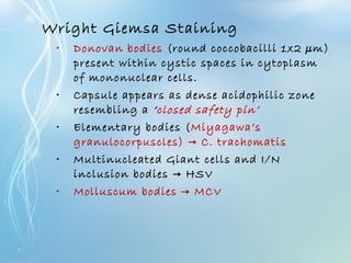 Wright Giemsa Staining
• Donovan bodies (round coccobacilli 1x2 µm)
present within cystic spaces in cytoplasm
of mononuclear cells.
• Capsule appears as dense acidophilic zone
resembling a ‘closed safety pin’
• Elementary bodies (Miyagawa’s
granulocorpuscles) C. trachomatis→
• Multinucleated Giant cells and I/N
inclusion bodies HSV→
• Molluscum bodies MCV→
 