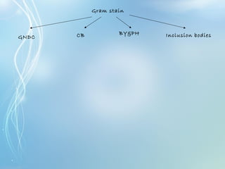Gram stain
GNDC CB BY&PH Inclusion bodies
 