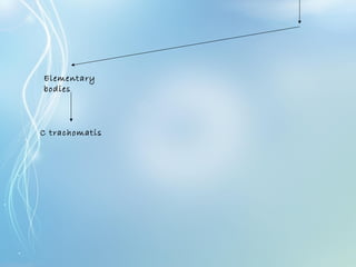 Elementary
bodies
C trachomatis
 