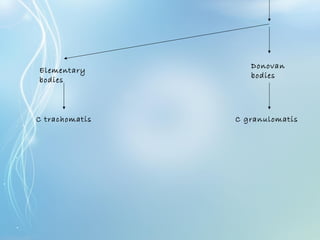 Donovan
bodies
Elementary
bodies
C trachomatis C granulomatis
 