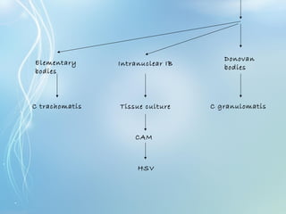 Donovan
bodies
Elementary
bodies
Intranuclear IB
Tissue culture
CAM
HSV
C trachomatis C granulomatis
 