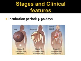 Sexually Transmitted Diseases Syphilis And Lymphogranuloma Venereum PPT Sexually Transmitted Diseases Syphilis And Lymphogranuloma Venereum PPT
