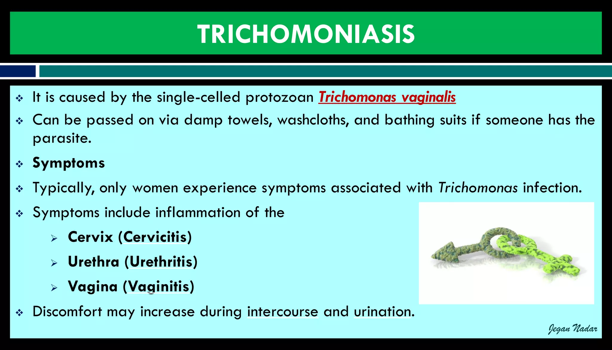 Pathophysiology of Sexually transmitted diseases | PDF