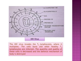 The HIV virus invades the T4 lymphocytes, where it
multiplies. The cells burst and other healthy T4
lymphocytes are infected. The quantity and quality of
these cells is decreased and the defence mechanism of
body is destroyed
HIV Virus
 