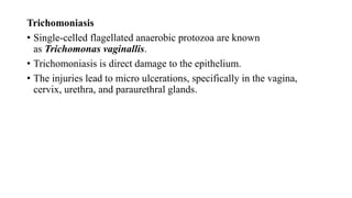 Trichomoniasis
• Single-celled flagellated anaerobic protozoa are known
as Trichomonas vaginallis.
• Trichomoniasis is direct damage to the epithelium.
• The injuries lead to micro ulcerations, specifically in the vagina,
cervix, urethra, and paraurethral glands.
 