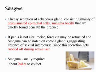 Smegma:
• Cheesy secretion of sebaceous gland, consisting mainly of
desquamated epithelial cells, smegma bacilli that are
chiefly found beneath the prepuce
• If penis is not circumcise, foreskin may be retracted and
Smegma can be noted on corona glandis,suggesting
absence of sexual intercourse, since this secretion gets
rubbed off during sexual act .
• Smegma usually requires
about 24hrs to collect.
 