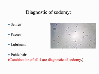 Diagnostic of sodomy:
 Semen
 Faeces
 Lubricant
 Pubic hair
(Combination of all 4 are diagnostic of sodomy.)
 