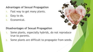 Advantages of Sexual Propagation
1. Fast way to get many plants.
2. Easy to do.
3. Economical.
Disadvantages of Sexual Propagation
1. Some plants, especially hybrids, do not reproduce
true to parents.
2. Some plants are difficult to propagate from seeds.
 