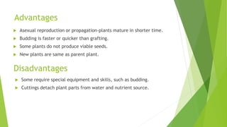 Advantages
 Asexual reproduction or propagation-plants mature in shorter time.
 Budding is faster or quicker than grafting.
 Some plants do not produce viable seeds.
 New plants are same as parent plant.
Disadvantages
 Some require special equipment and skills, such as budding.
 Cuttings detach plant parts from water and nutrient source.
 