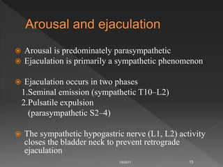  Arousal is predominately parasympathetic
 Ejaculation is primarily a sympathetic phenomenon
 Ejaculation occurs in two phases
1.Seminal emission (sympathetic T10–L2)
2.Pulsatile expulsion
(parasympathetic S2–4)
 The sympathetic hypogastric nerve (L1, L2) activity
closes the bladder neck to prevent retrograde
ejaculation
1/8/2017 13
 