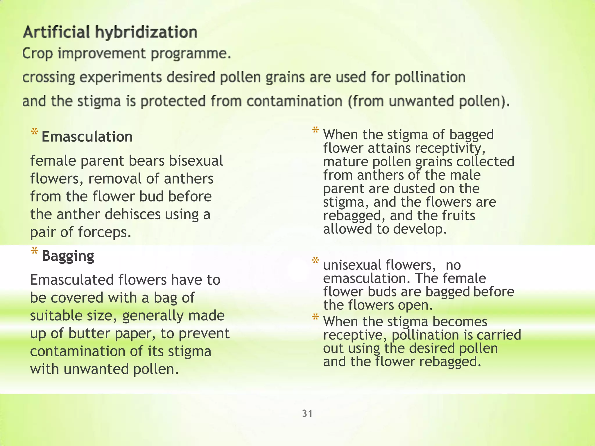 *Emasculation
female parent bears bisexual
flowers, removal of anthers
from the flower bud before
the anther dehisces using a
pair of forceps.
*Bagging
Emasculated flowers have to
be covered with a bag of
suitable size, generally made
up of butter paper, to prevent
contamination of its stigma
with unwanted pollen.
* When the stigma of bagged
flower attains receptivity,
mature pollen grains collected
from anthers of the male
parent are dusted on the
stigma, and the flowers are
rebagged, and the fruits
allowed to develop.
* unisexual flowers, no
emasculation. The female
flower buds are bagged before
the flowers open.
* When the stigma becomes
receptive, pollination is carried
out using the desired pollen
and the flower rebagged.
31
 