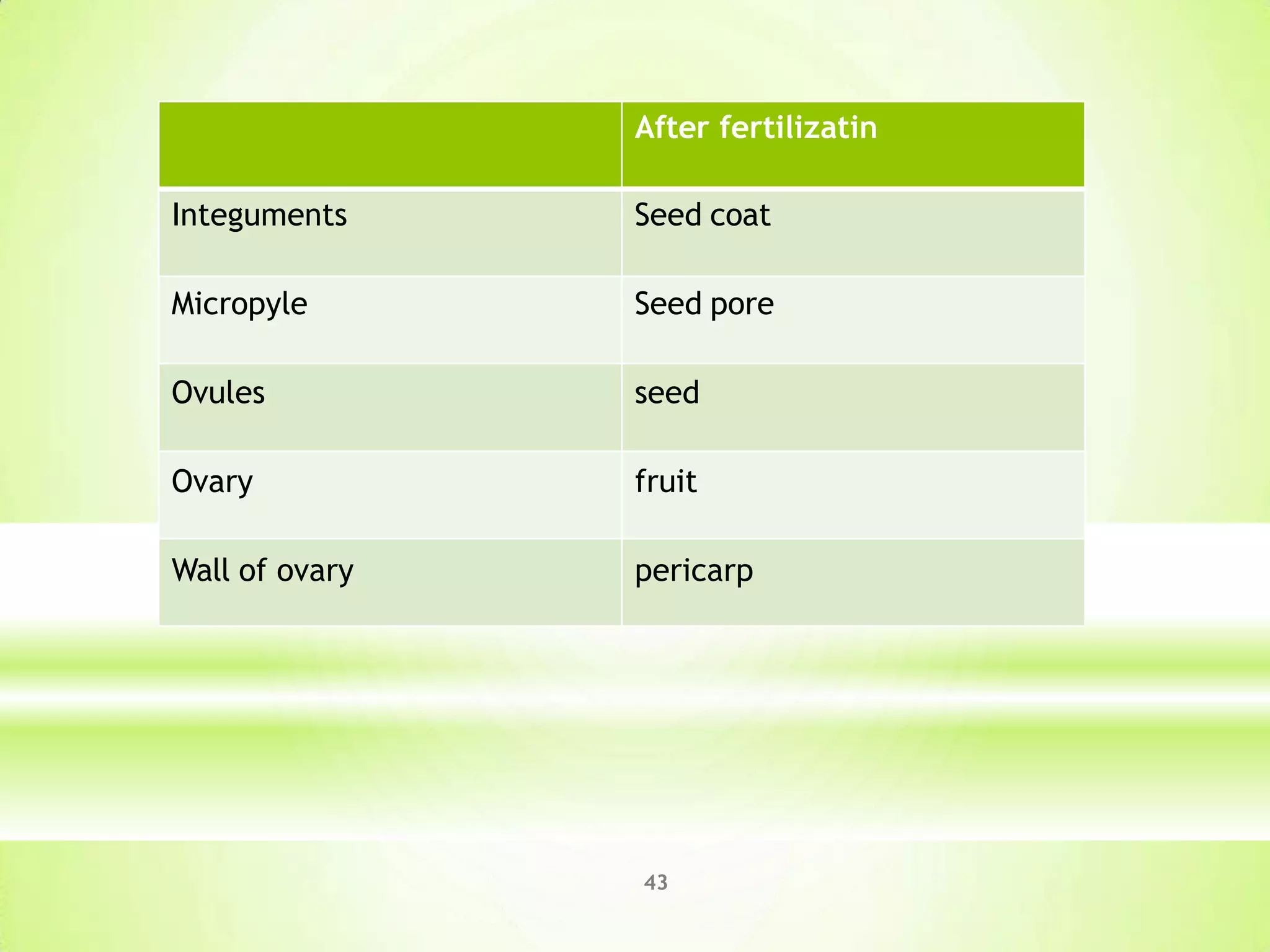 43
After fertilizatin
Integuments Seed coat
Micropyle Seed pore
Ovules seed
Ovary fruit
Wall of ovary pericarp
 