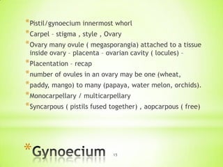 * Pistil/gynoecium innermost whorl
* Carpel – stigma , style , Ovary
* Ovary many ovule ( megasporangia) attached to a tissue
inside ovary – placenta – ovarian cavity ( locules) –

* Placentation – recap
* number of ovules in an ovary may be one (wheat,
* paddy, mango) to many (papaya, water melon, orchids).
* Monocarpellary / multicarpellary
* Syncarpous ( pistils fused together) , aopcarpous ( free)

*

15

 