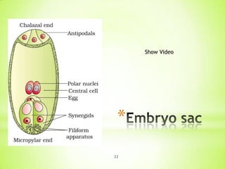 Show Video

*
22

 