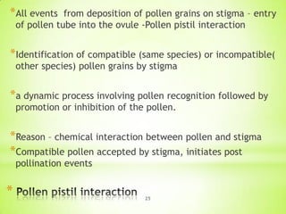 *All events

from deposition of pollen grains on stigma – entry
of pollen tube into the ovule -Pollen pistil interaction

*Identification of compatible (same species) or incompatible(
other species) pollen grains by stigma

*a dynamic process involving pollen recognition followed by
promotion or inhibition of the pollen.

*Reason – chemical interaction between pollen and stigma
*Compatible pollen accepted by stigma, initiates post
pollination events

*

25

 