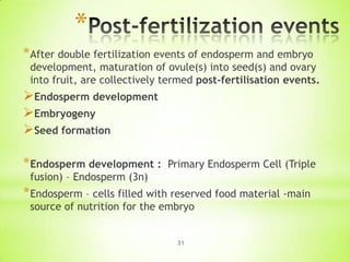 *
* After double fertilization events of endosperm and embryo

development, maturation of ovule(s) into seed(s) and ovary
into fruit, are collectively termed post-fertilisation events.

Endosperm development
Embryogeny
Seed formation
* Endosperm development :

Primary Endosperm Cell (Triple

fusion) – Endosperm (3n)

* Endosperm – cells filled with reserved food material -main
source of nutrition for the embryo

31

 