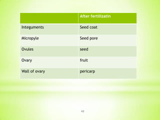 After fertilizatin

Integuments

Seed coat

Micropyle

Seed pore

Ovules

seed

Ovary

fruit

Wall of ovary

pericarp

43

 