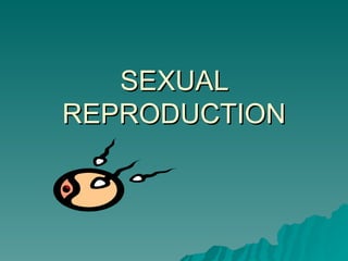 SEXUAL REPRODUCTION 