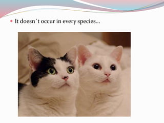  It doesn´t occur in every species... 
 