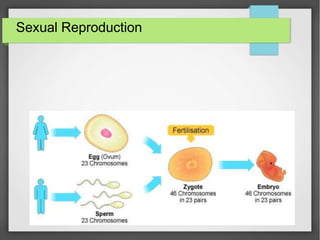 Sexual Reproduction
 