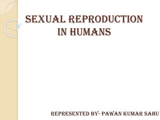 Sexual Reproduction
in Humans
Represented by- Pawan Kumar Sahu
 
