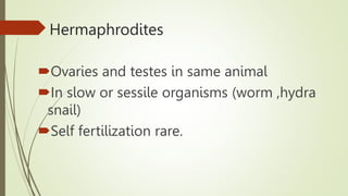 Hermaphrodites
Ovaries and testes in same animal
In slow or sessile organisms (worm ,hydra
snail)
Self fertilization rare.
 
