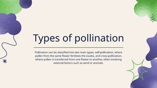 Sexual Reproduction in Flowering Plants NCERT | PPTX